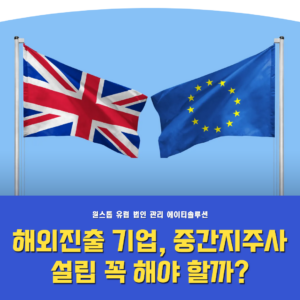 중간지주사(Holding Company) 설립, 해외진출 기업은 꼭 필요할까?